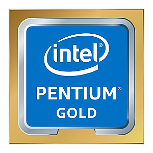 Intel Pentium G6600