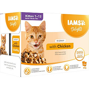 IAMS Delights Kitten Chicken mērcē - mitrā kaķu barība - 12 x 85g