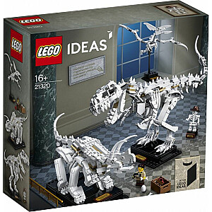 LEGO Ideas dinozauru skelets (21320)