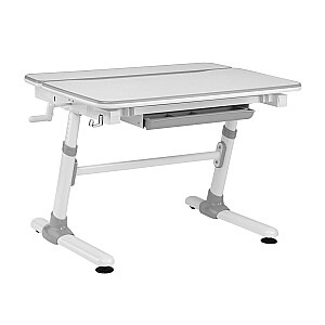 Ergonomisks bērnu rakstāmgalds Ergo Office ar regulējamu augstumu, pelēks, maks. 100 kg, ER-417 2cz