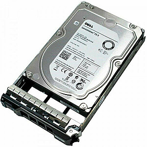 Dell SSD 2.5" / 960GB / NVMe / RI / U.2 Gen4 / Hot-Plug / 15G Dell