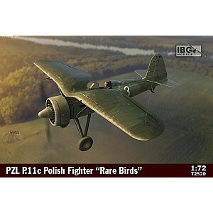 Plastmasas modelis PZL P.11c Polish Fighter retiem putniem 1/72