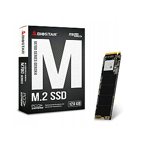 Biostar M700 128 GB SSD