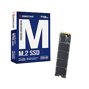 Диск SSD Biostar M760 256ГБ