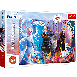 Puzle Frozen 2, 100 gb.
