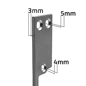 Divpusēja vienkārša plāksne elektriskajam triecienam | Bloķēšanas plāksne | 250 mm | nerūsējošais tērauds