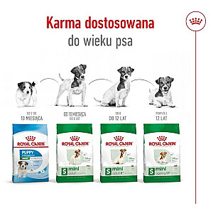 ROYAL CANIN Adult Mini S - сухой корм для собак - 8кг