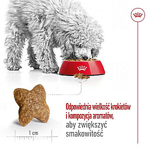 ROYAL CANIN Adult Mini S - сухой корм для собак - 8кг