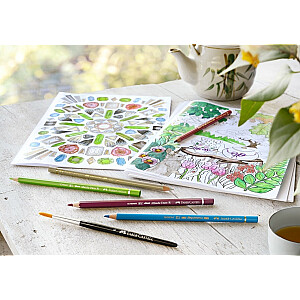 Krāsains zīmulis Faber-Castell Polychromos krāsa 121