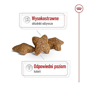 ROYAL CANIN Adult Mini S - сухой корм для собак - 2кг