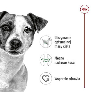 ROYAL CANIN Adult Mini S - сухой корм для собак - 2кг