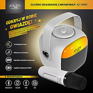 Głośnik karaoke AD1199W