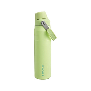 Бутылка для воды Aerolight IceFlow Быстрый поток 0,6 л светло-зеленая 