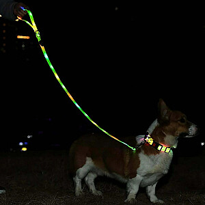 DOGGY VILLAGE Signālsiksna MT7121 zaļa - LED suņu pavada - 1,2 m