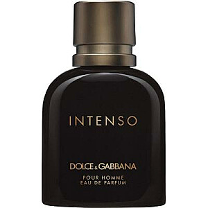 Tester DOLCE&GABBANA Pour Homme Intenso EDP aerosols 125ml