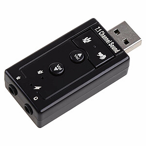 RoGer USB Аудио картa с микрофонным входом / Virtual 7.1 / серебряный