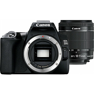 Canon EOS 250D + объектив 18–55 мм IS STM