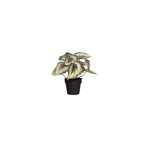 Искусственные растения 4Living Begonia 22см, 3 цвета 627360