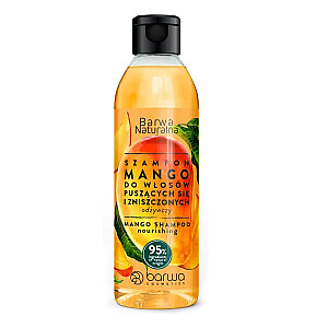 BARWA Barojošs matu šampūns Natural Mango 300ml