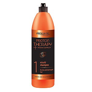 CHANTAL Prosalon Protein Therapy Keratin Complex 1 Шампунь для сухих и поврежденных волос, восстанавливающий шампунь с креатином и экстрактом алоэ 1000г