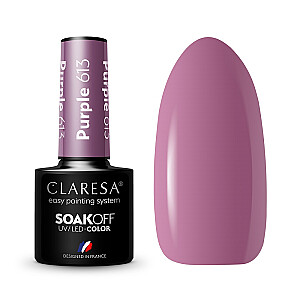 CLARESA Soak Off UV/LED Гибридный лак фиолетового цвета 613 5г