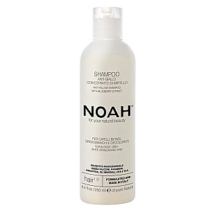 NOAH For Your Natural Beauty pretdzeltens šampūns matiem 1,9 pretdzeltens šampūns, 250 ml