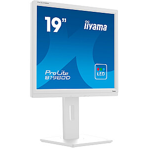 iiyama B1980D-W5, LED monitors - 19 - balts, VGA, DVI