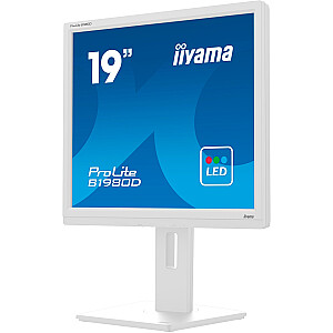 iiyama B1980D-W5, LED monitors - 19 - balts, VGA, DVI