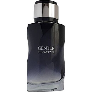 REYANE TRADITION Gentle Elsatys EDP 100мл