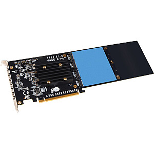 Sonets FUS-SSD-4X4-E3S, Interfeisa karte