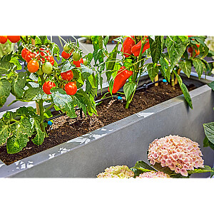 GARDENA Micro-Drip-System terases pilienveida apūdeņošanas komplekts, 30 augi, pilinātāji (melns/pelēks, 2023. gada modelis)