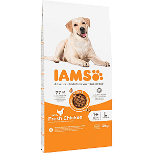 IAMS for Vitality Adult Large Breed - sausa suņu barība - 12 kg