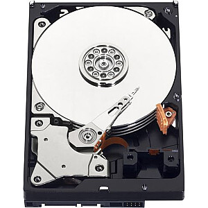 Dysk WD Caviar Blue 1 TB 3,5 collu SATA III (WD10EZEX)