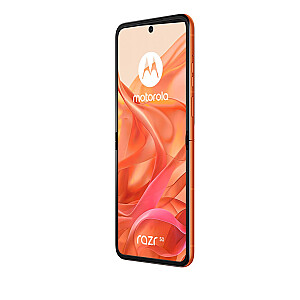 Motorola RAZR 50 8/256 ГБ Spritz оранжевый