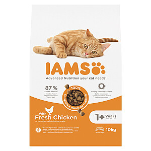 IAMS Advanced Nutrition Adult - sausā kaķu barība - 10 kg