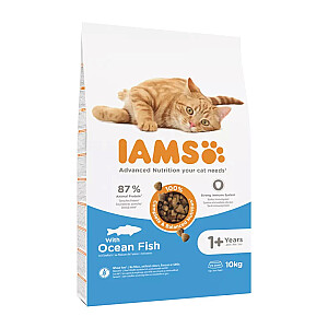 IAMS Advanced Nutrition Cat Adult Ocean Fish - sausā kaķu barība - 10 kg