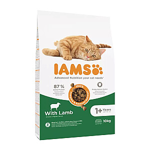 IAMS Advanced Nutrition Cat Adult Lamb - sausā kaķu barība - 10 kg