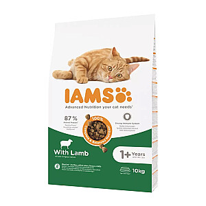 IAMS Advanced Nutrition Cat Adult Lamb - sausā kaķu barība - 10 kg