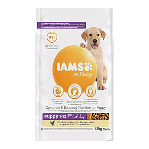 IAMS for Vitality Puppy Large Breed - sausā barība suņiem - 12 kg