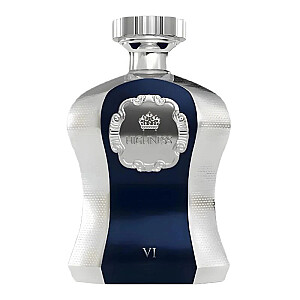 AFNAN His Highness VI Blue EDP Spray 100ml