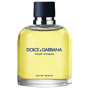 DOLCE&amp;GABBANA Pour Homme EDT aerosols 125ml