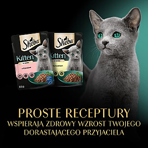 SHEBA Kitten Selection of Flavors in Sauce - влажный корм для кошек - 40x85 г