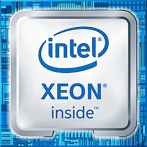 Intel Xeon W-2225 - 4,1 GHz procesors