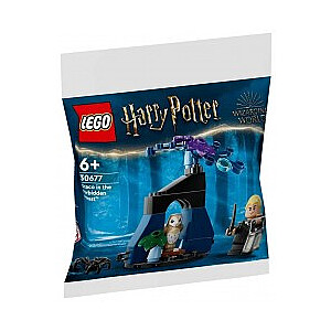 LEGO Harry Potter 30677 Драко в Запретном лесу