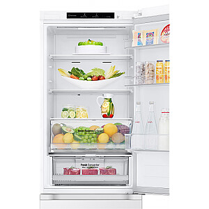 Холодильник LG Refrigerator GBV3100DSW