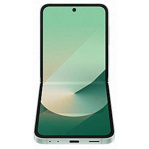 Samsung Galaxy Z Flip 6 5G 12/256 ГБ мятный (F741)