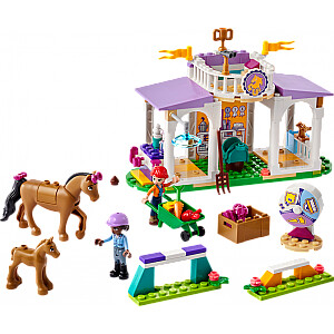 Lego Friends конструктор Обучение лошадей 134 шт. 4+ 41746