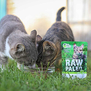 RAW PALEO Adult Cat Sterilized Game - mitrā barība kaķiem - 100 g