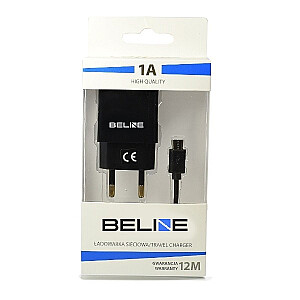 Maiņstrāvas lādētājs USB + microUSB 1A, melns