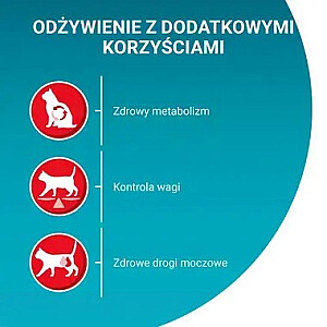 PURINA One Sterilcat Wołowina - sausā barība kaķiem - 9,75 kg